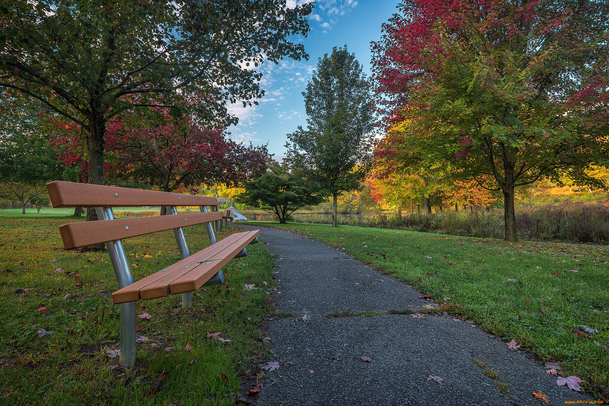 природа, парк, простор