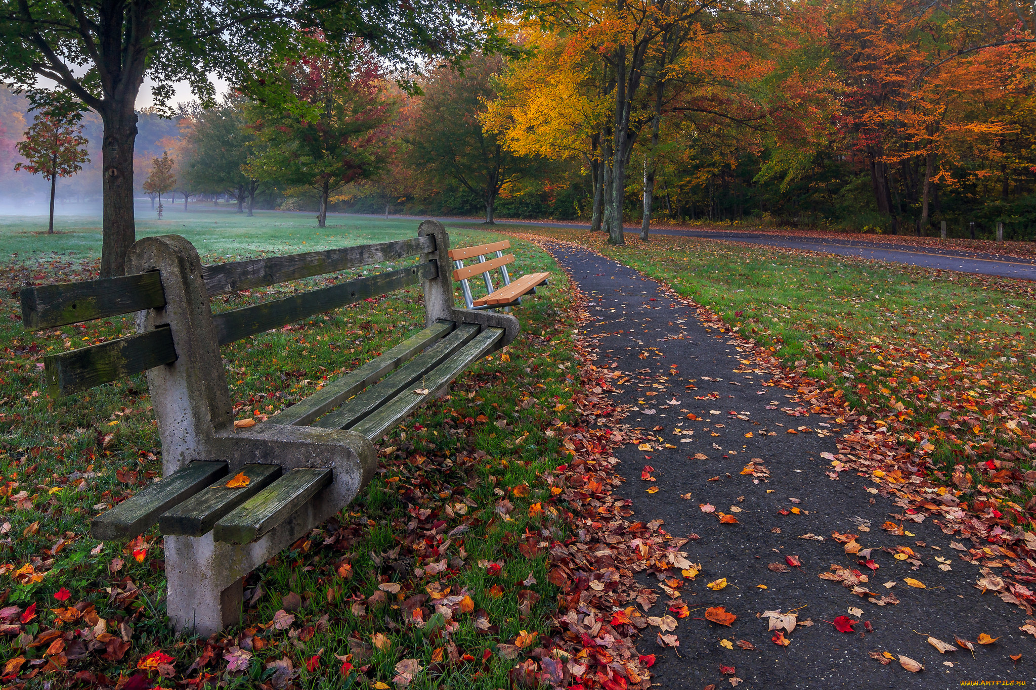 природа, парк, простор