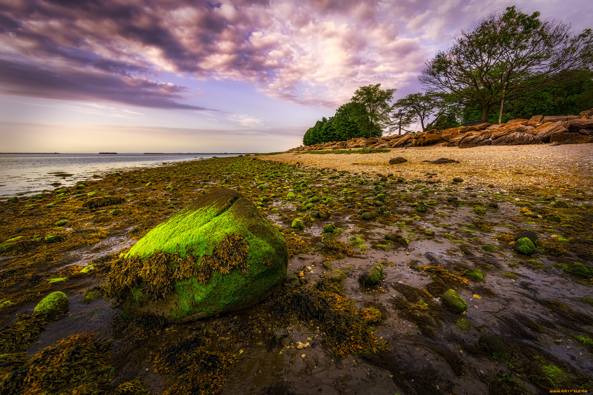 природа, побережье, простор