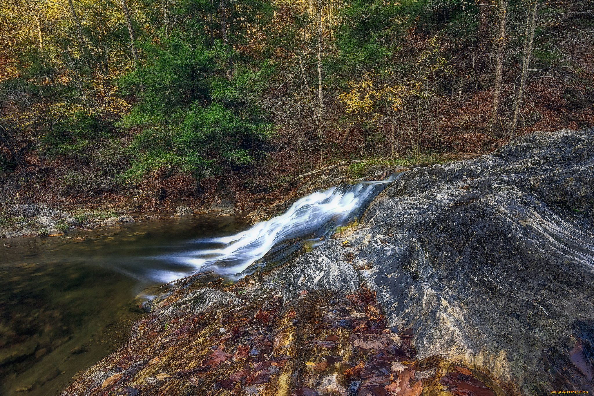 природа, реки, озера, простор