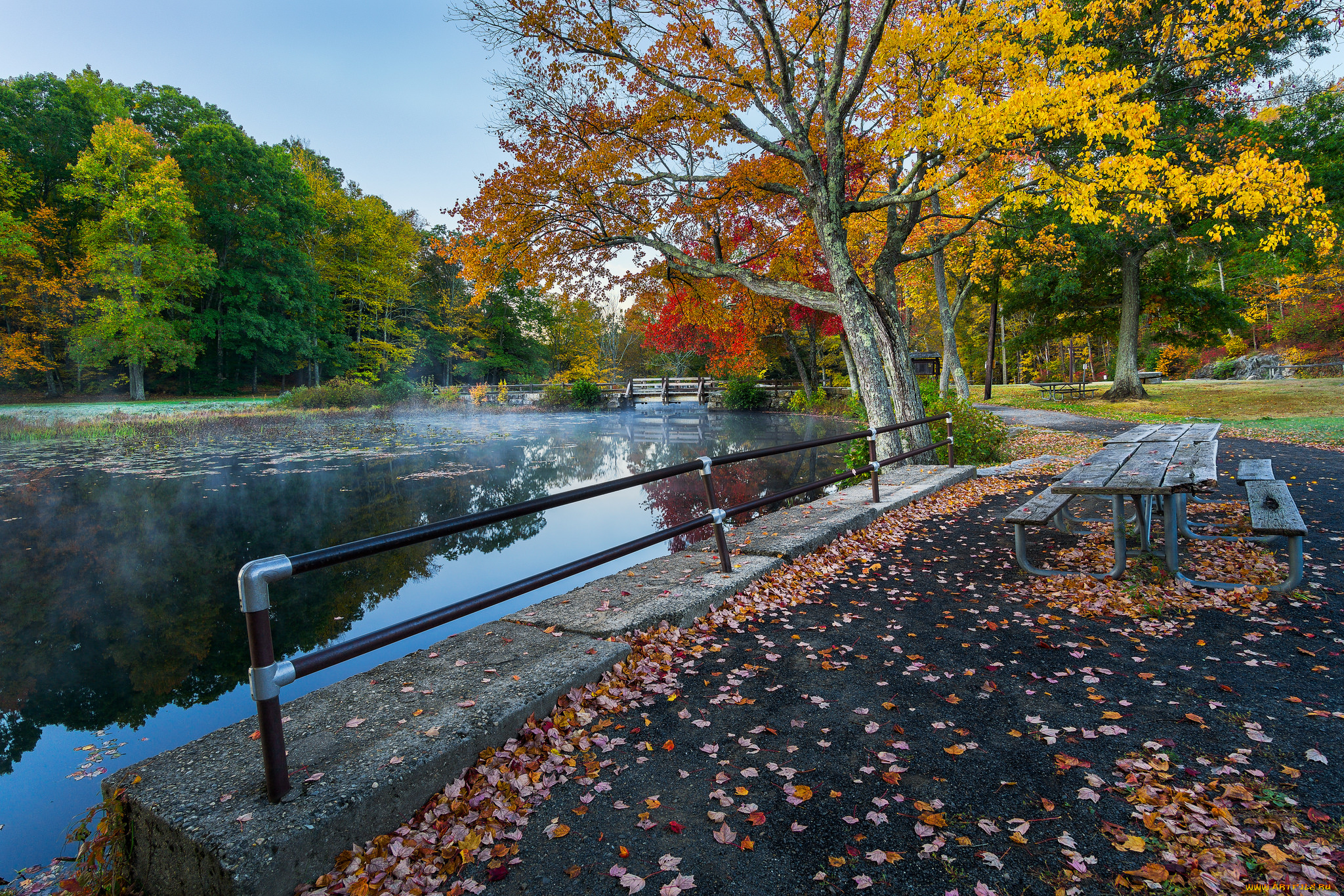 природа, реки, озера, простор