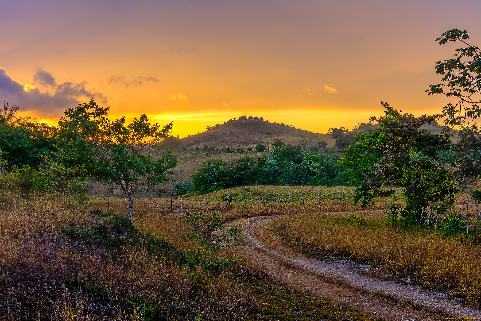 природа, дороги, простор