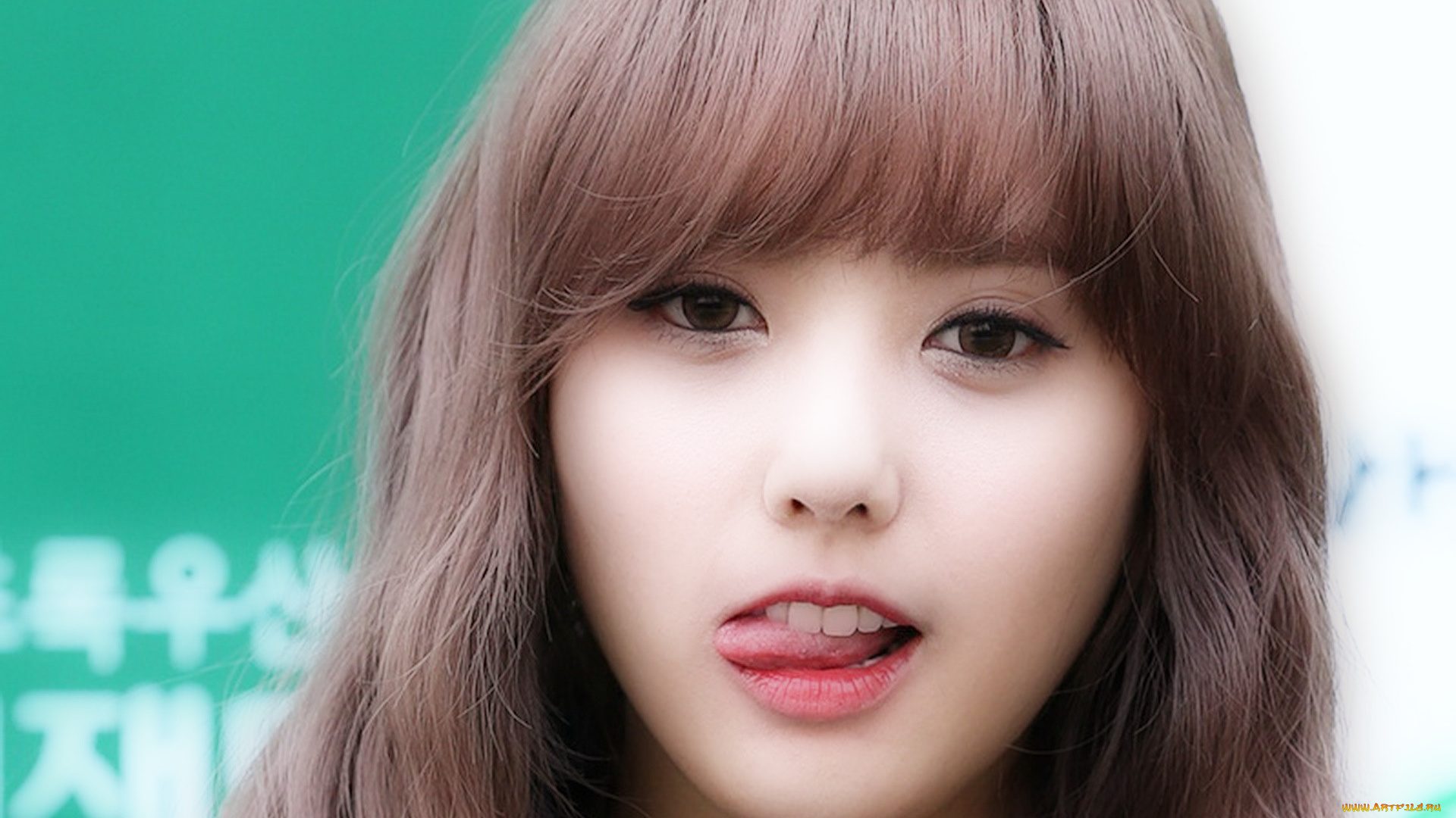 -hello-venus, музыка, hello, venus, певица