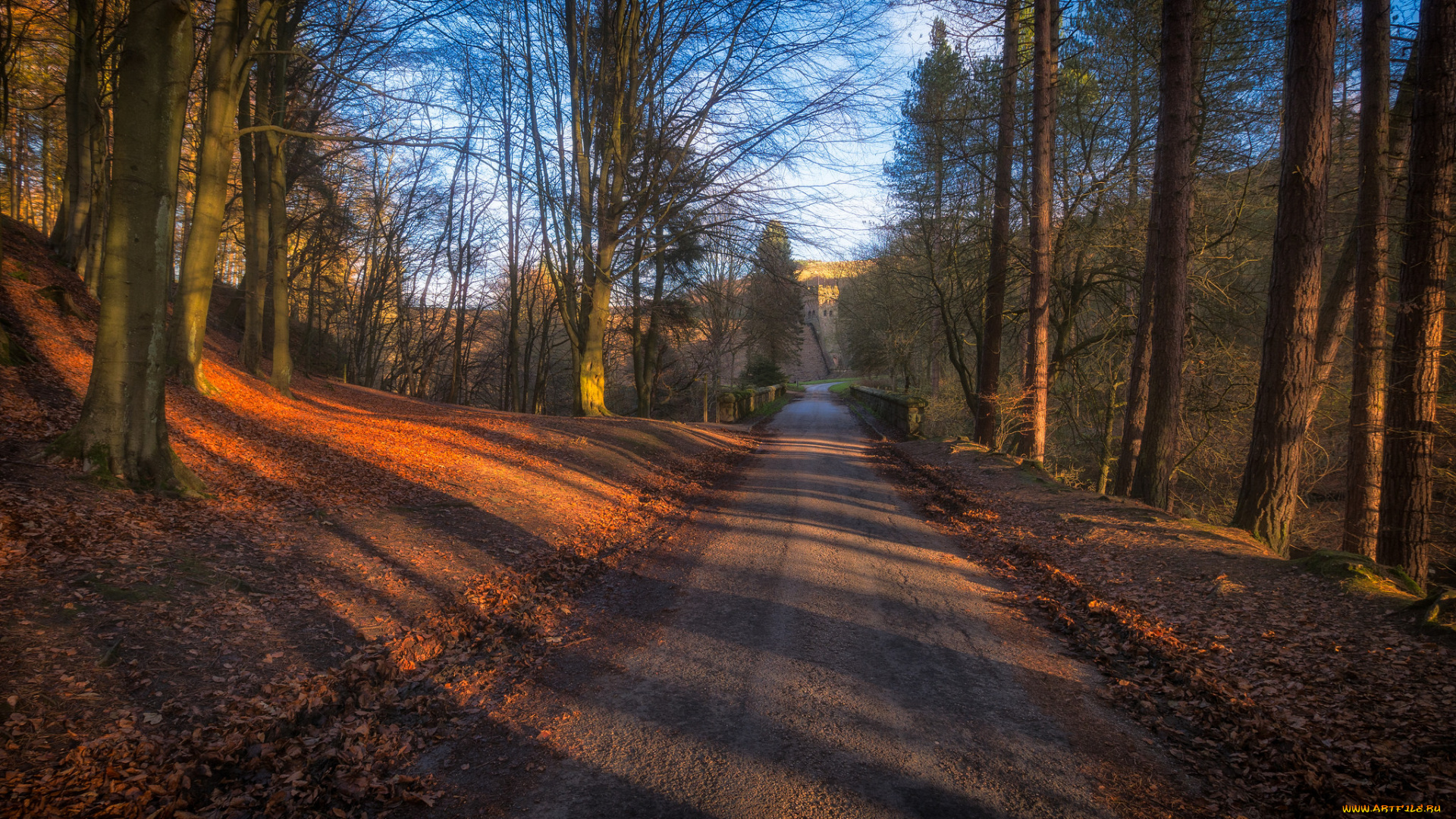 природа, дороги, простор