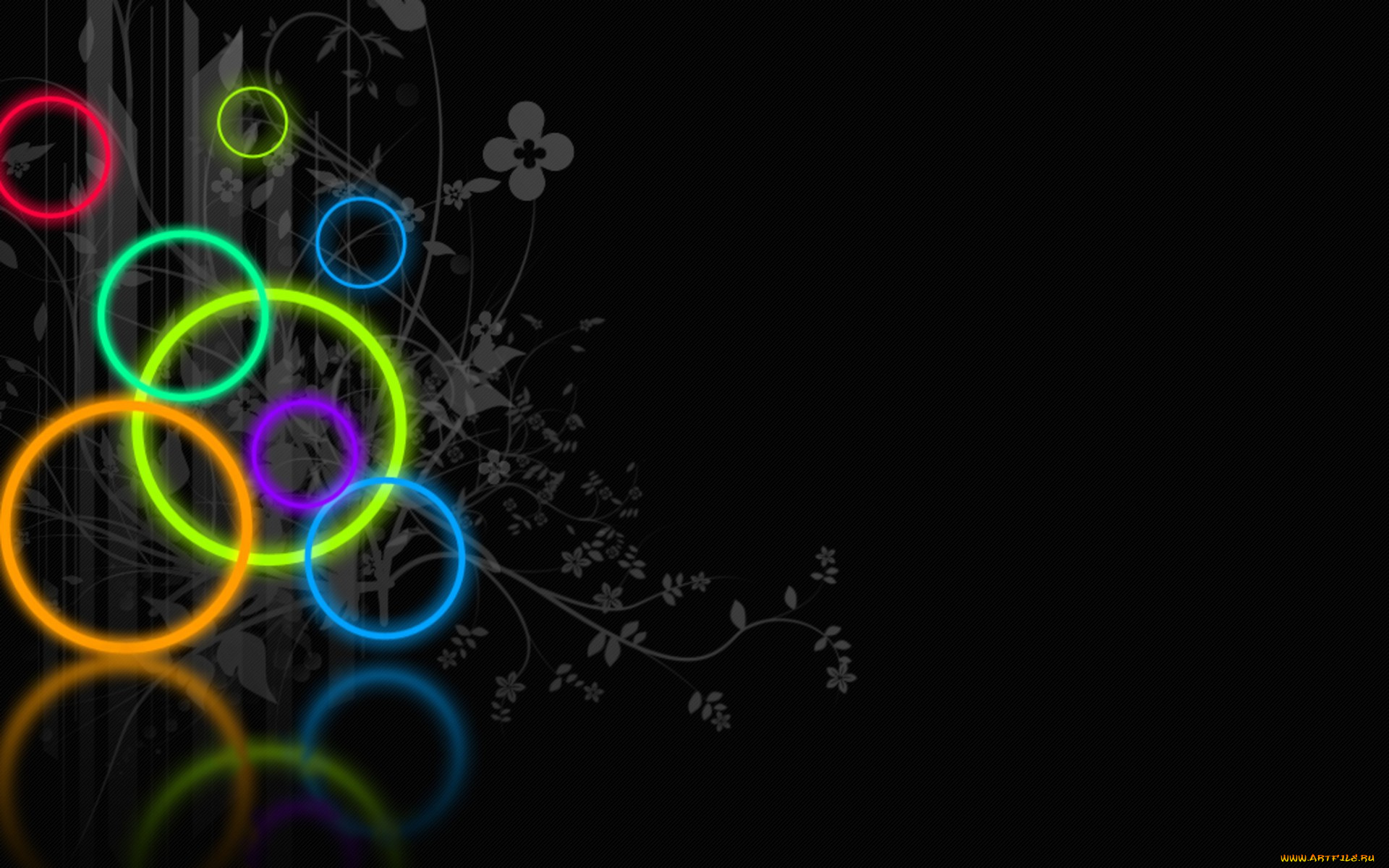 векторная, графика, цветы, , flowers, цветы, кольца