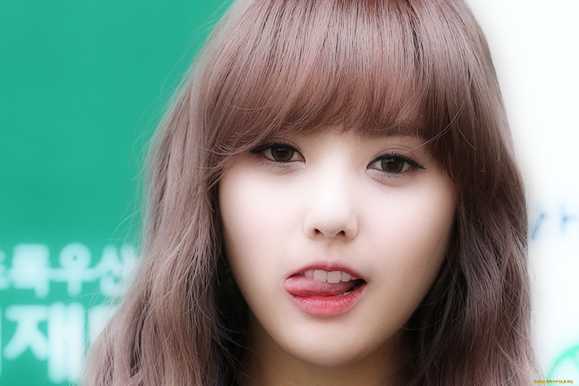 -hello-venus, музыка, hello, venus, певица