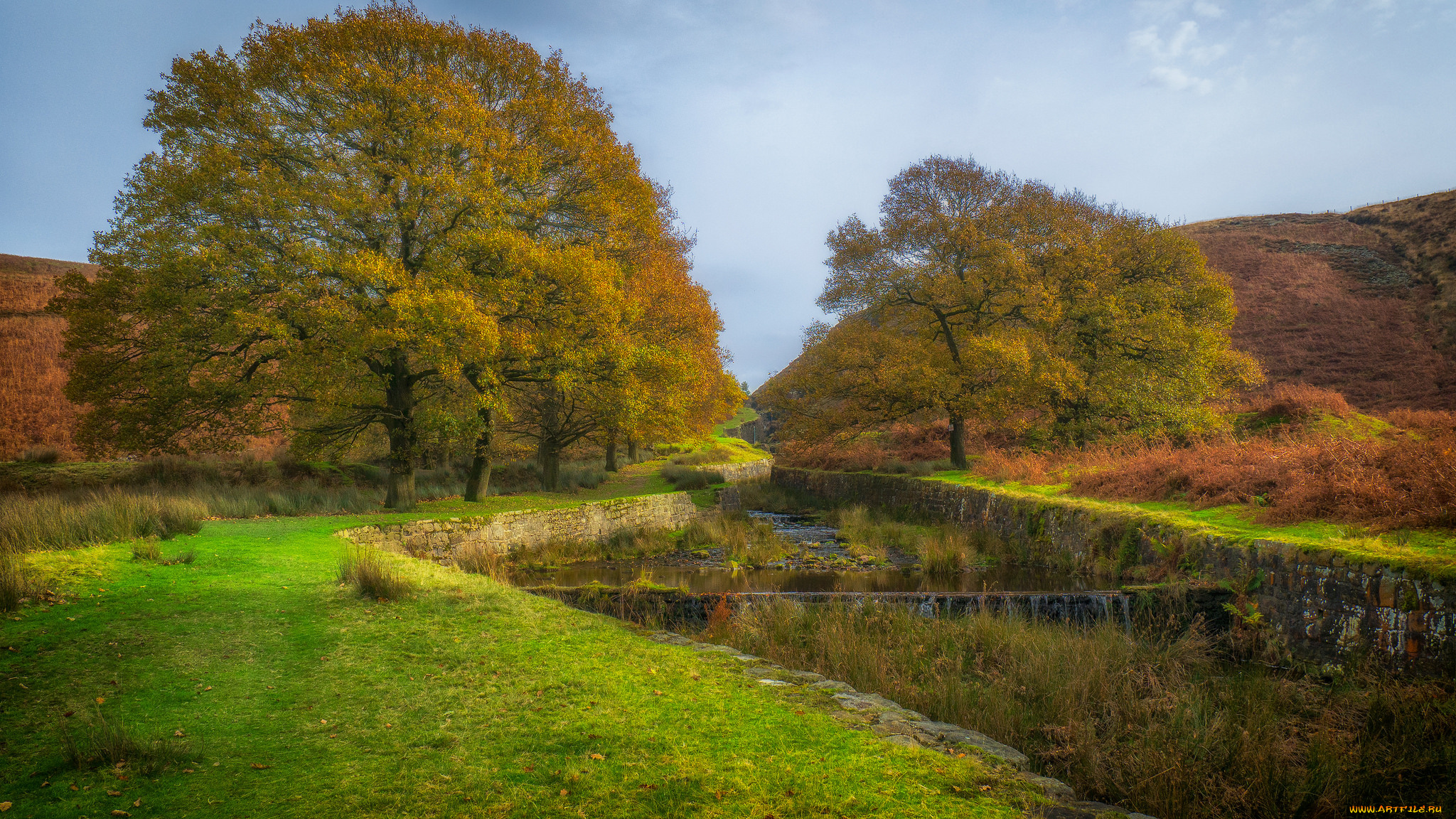 природа, пейзажи, простор