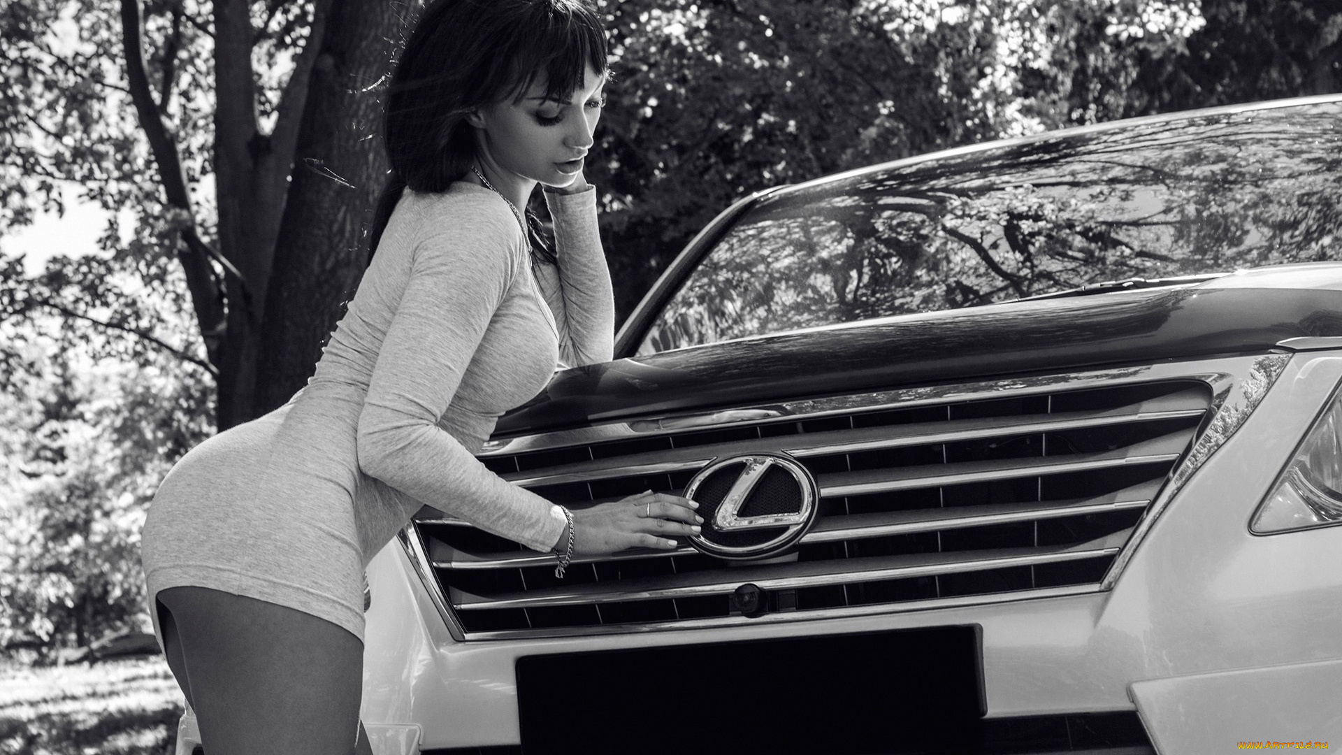 автомобили, -авто, с, девушками, инесса, шейн