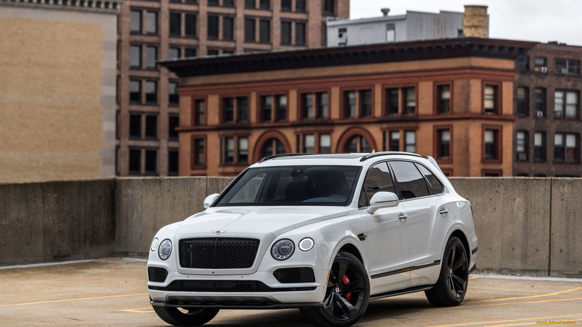 автомобили, bentley