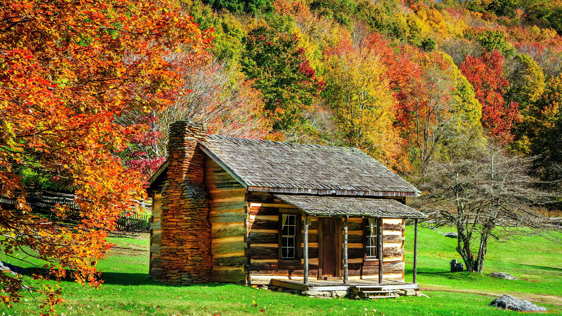 города, -, здания, , дома, лес, деревянный, дом, осень