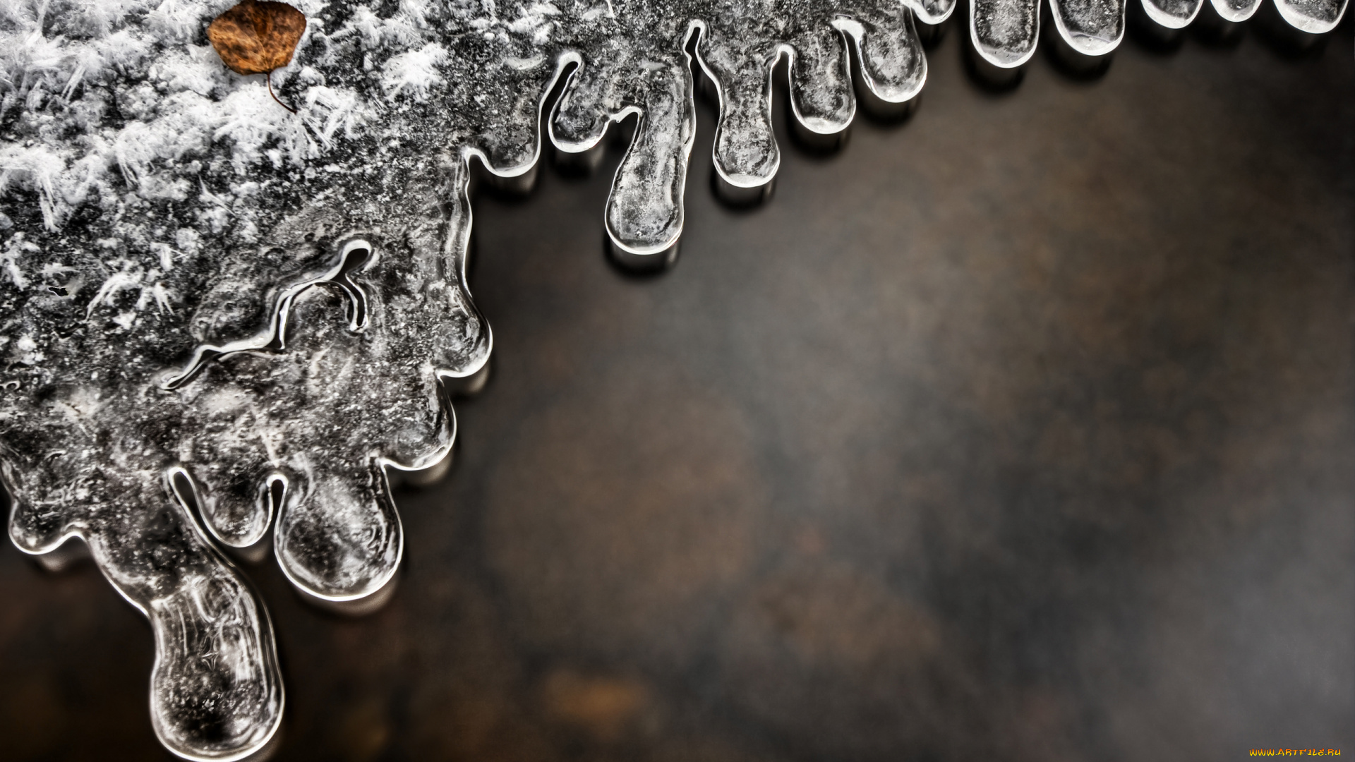 природа, макро, лед, вода, лист