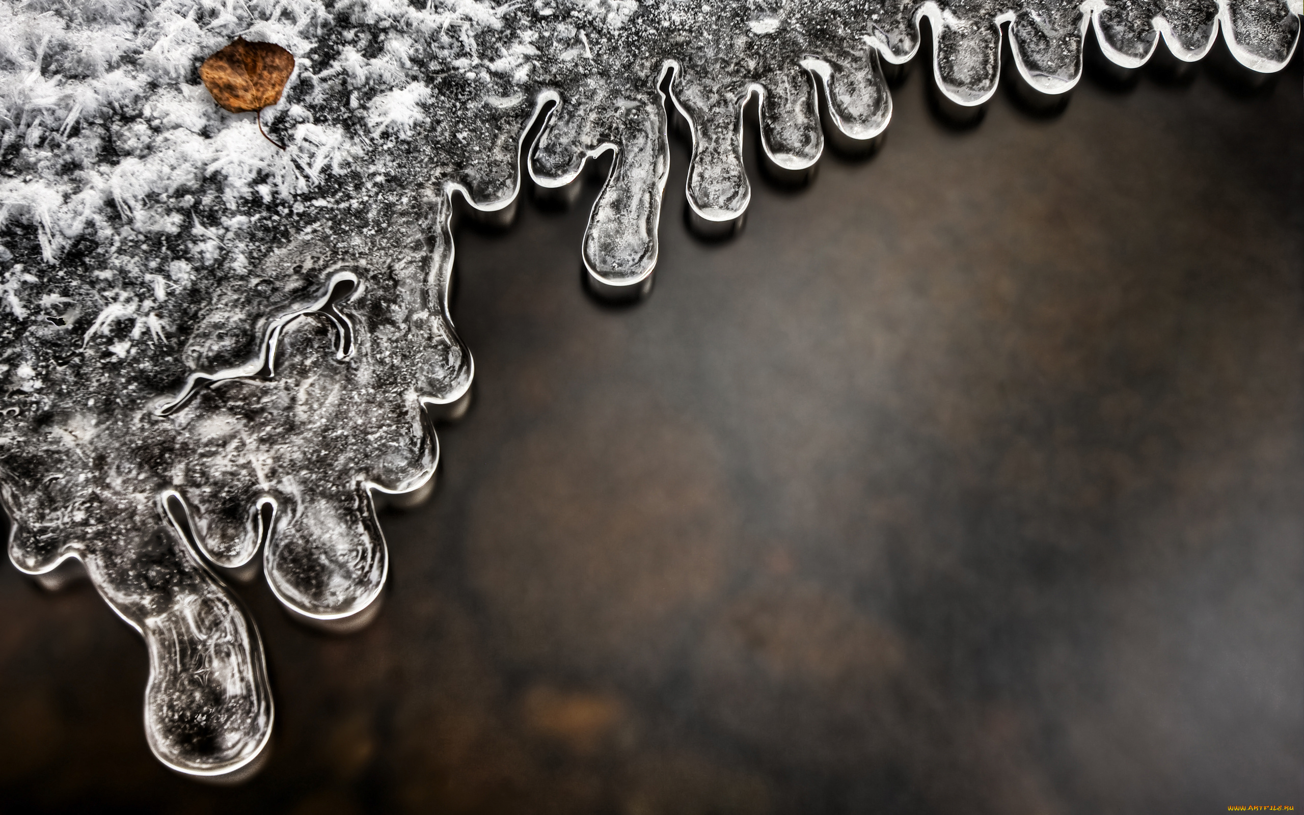 природа, макро, лед, вода, лист