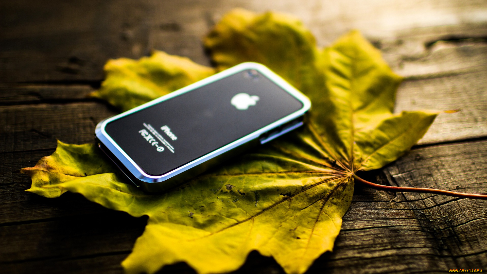 компьютеры, apple, телефон, лист, клен