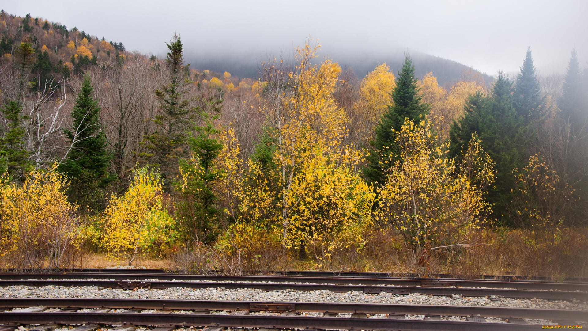 разное, транспортные, средства, и, магистрали, пейзаж