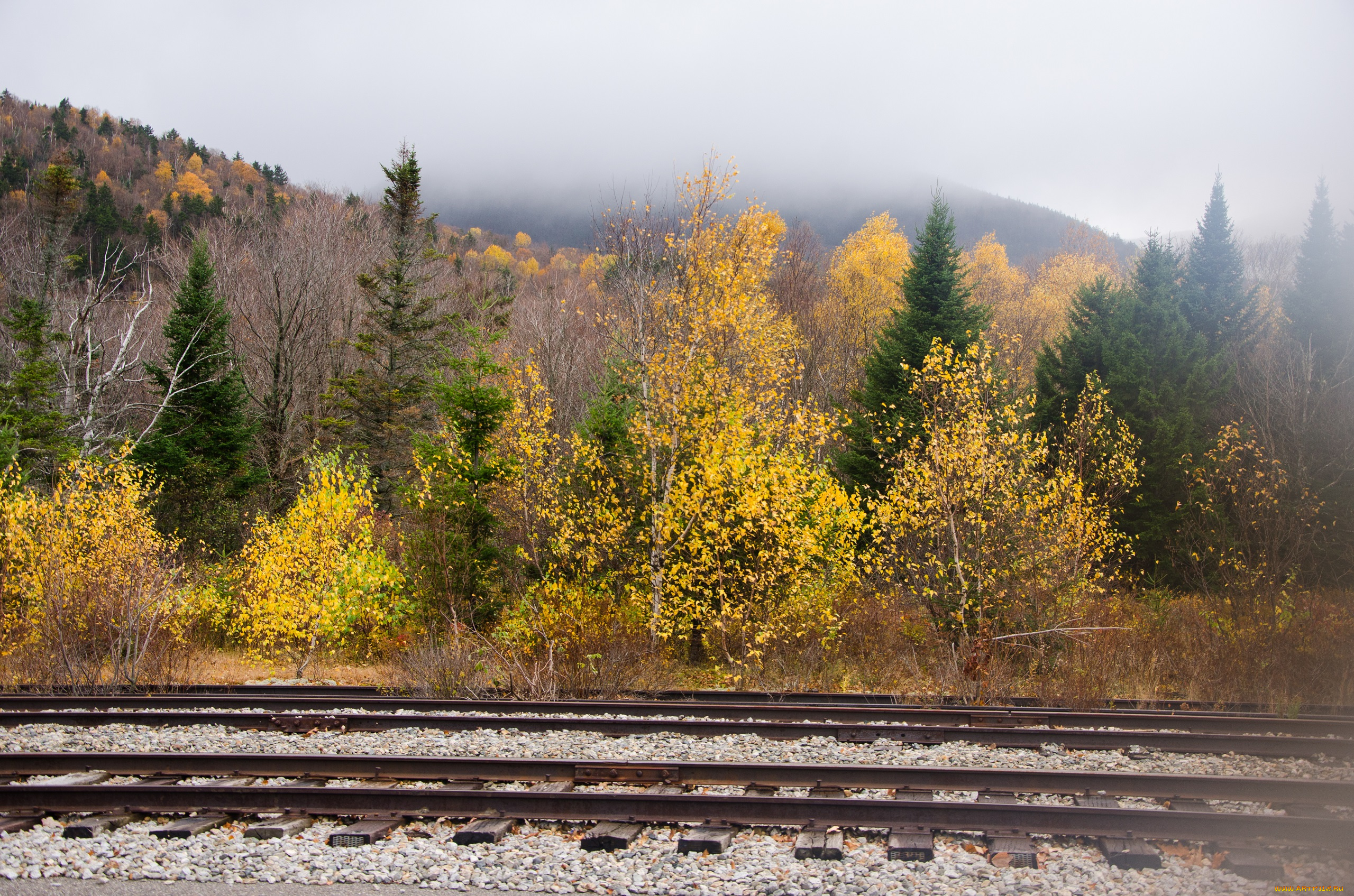 разное, транспортные, средства, и, магистрали, пейзаж