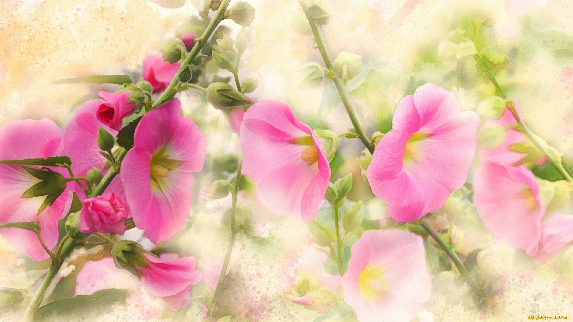 рисованное, цветы