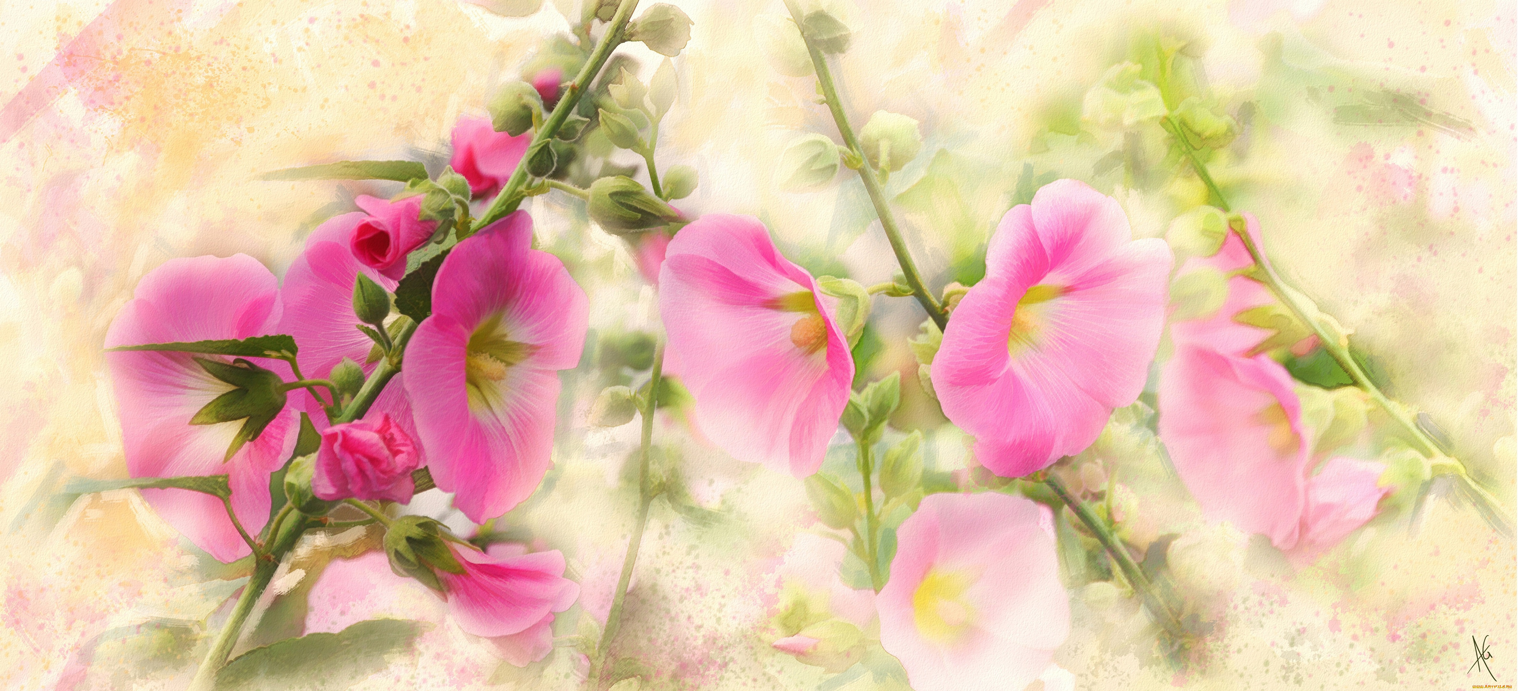 рисованное, цветы