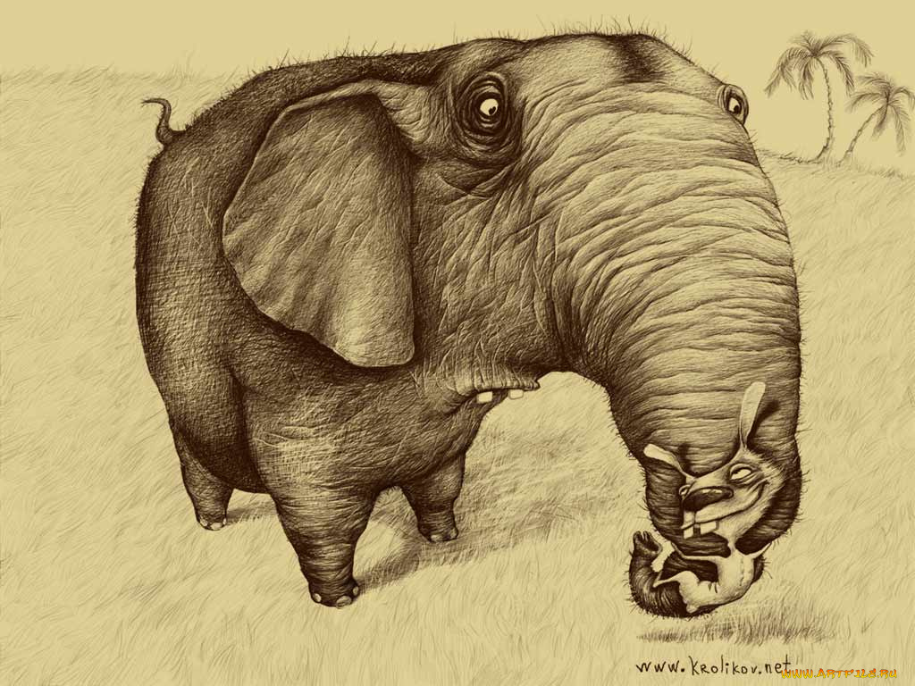 юмор, приколы