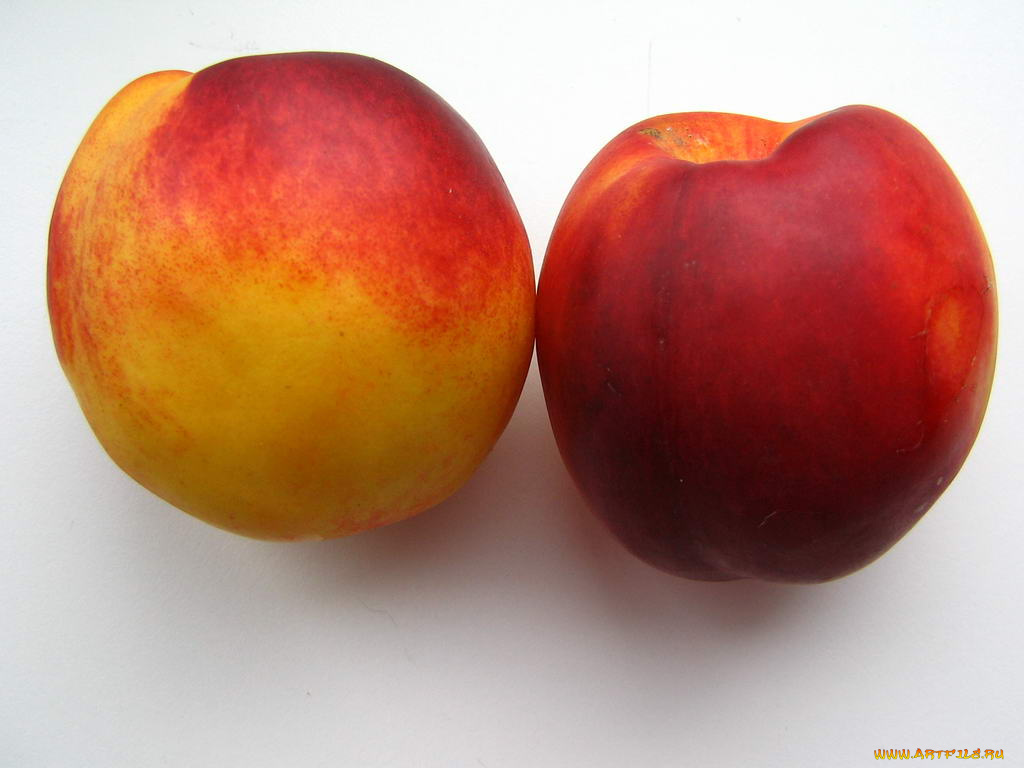 еда, персики, сливы, абрикосы