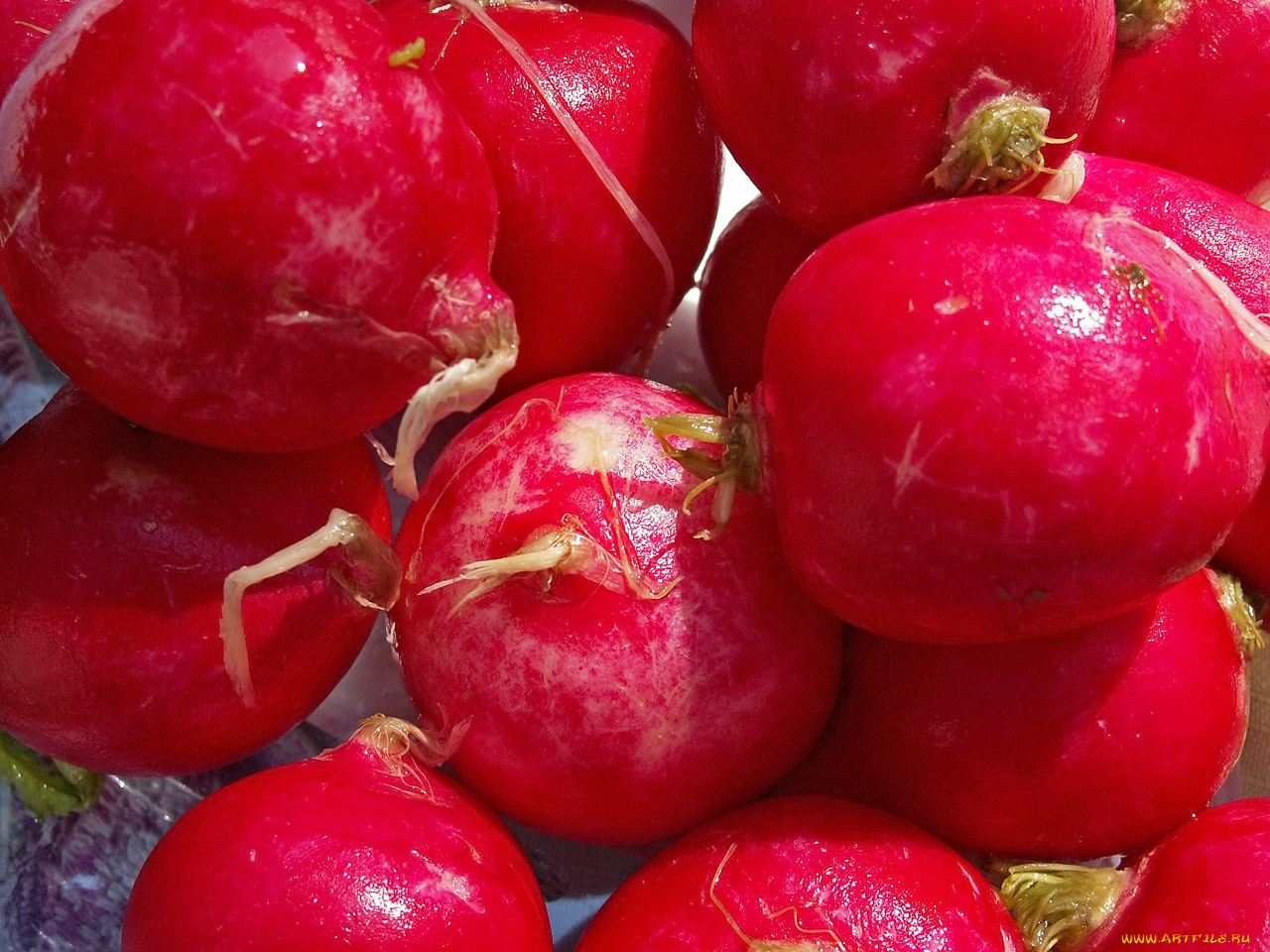 еда, редис, репа, редька