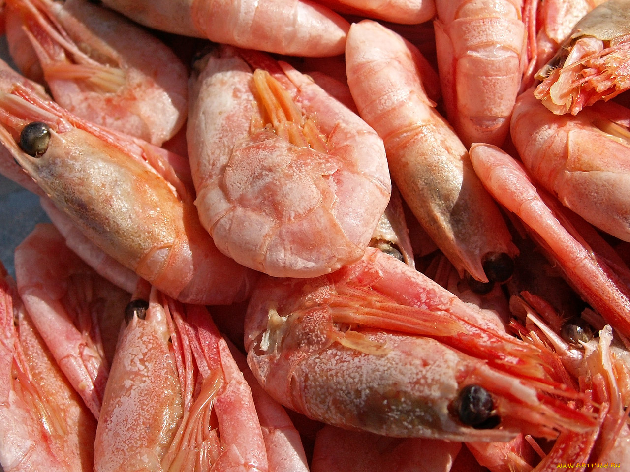 еда, рыба, морепродукты, суши, роллы