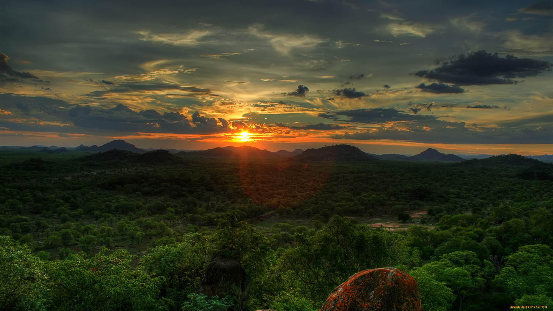 природа, восходы, закаты, деревья, пейзаж, закат