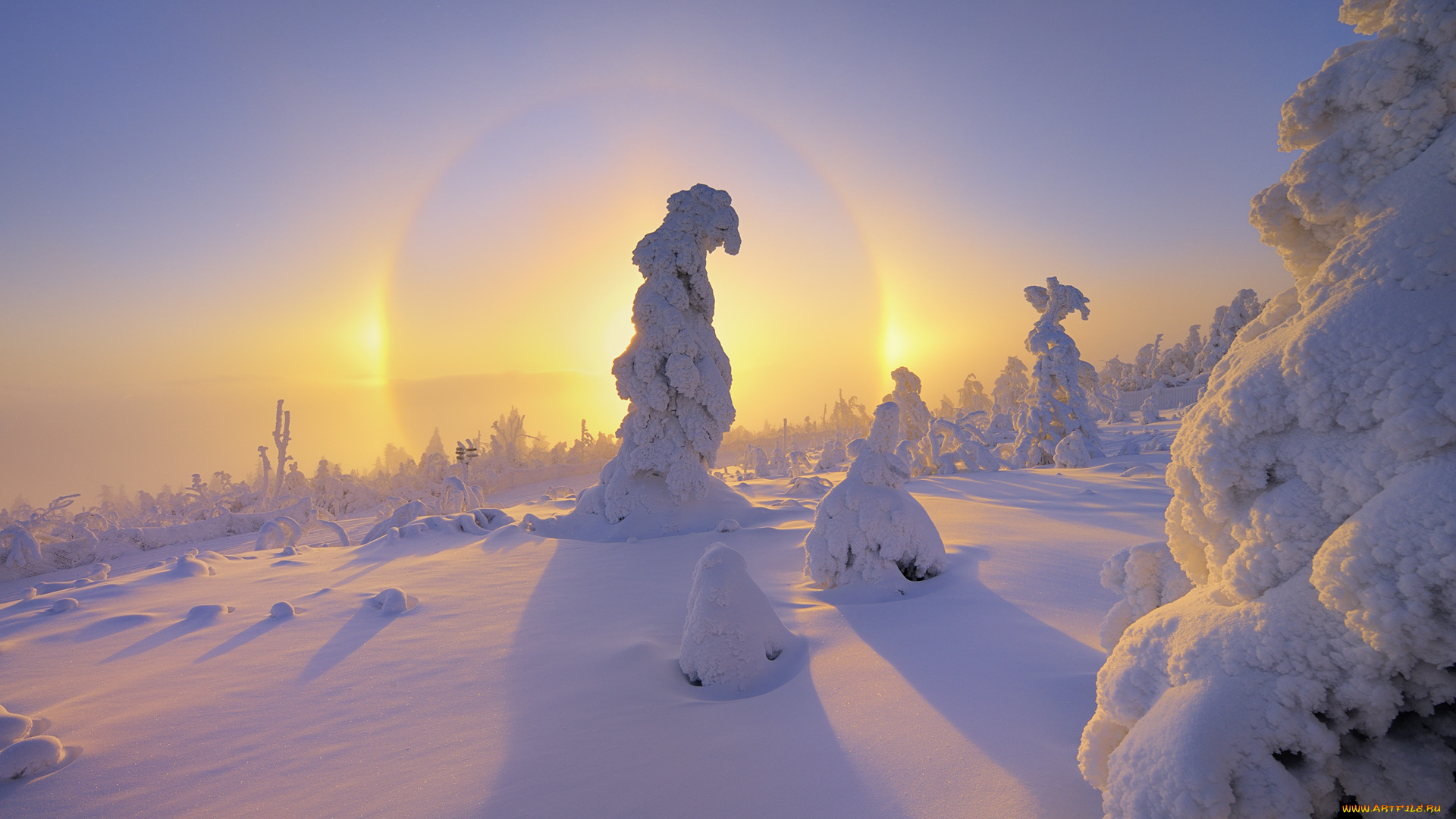 природа, зима