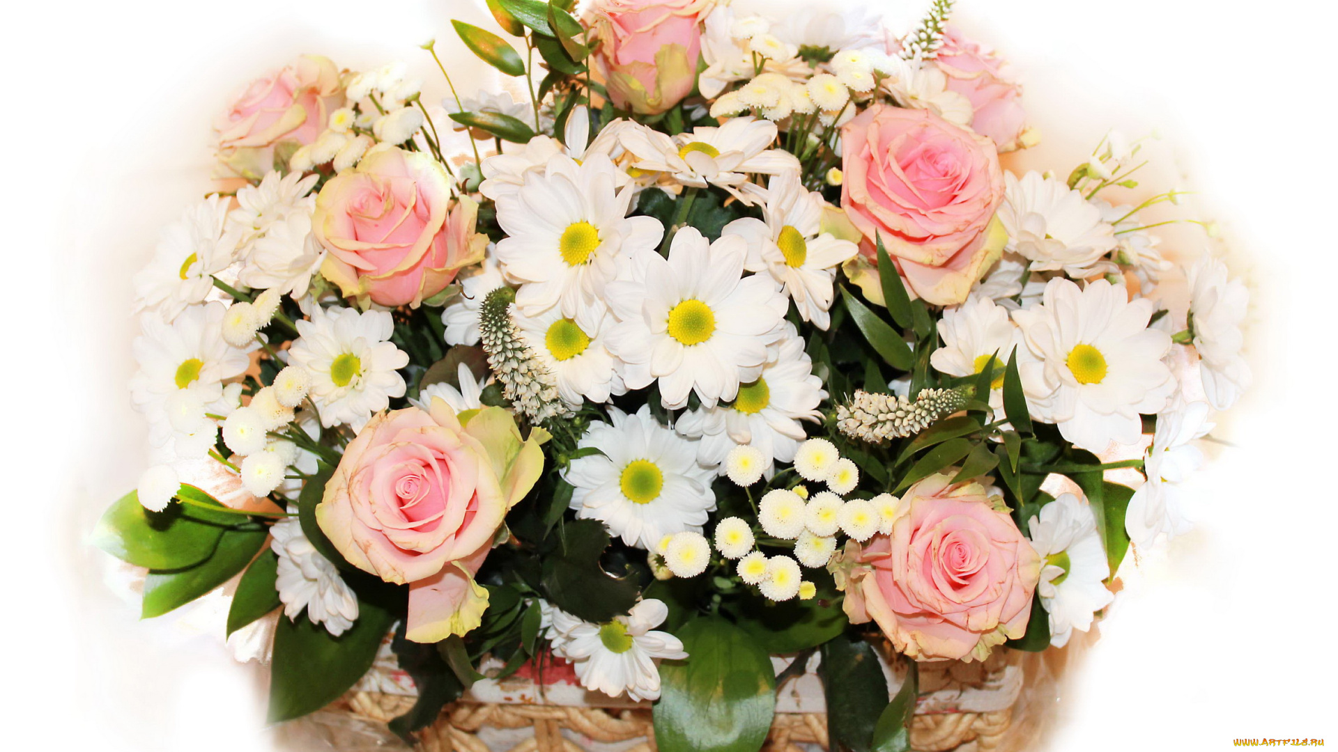 цветы, букеты, композиции, букет, розы