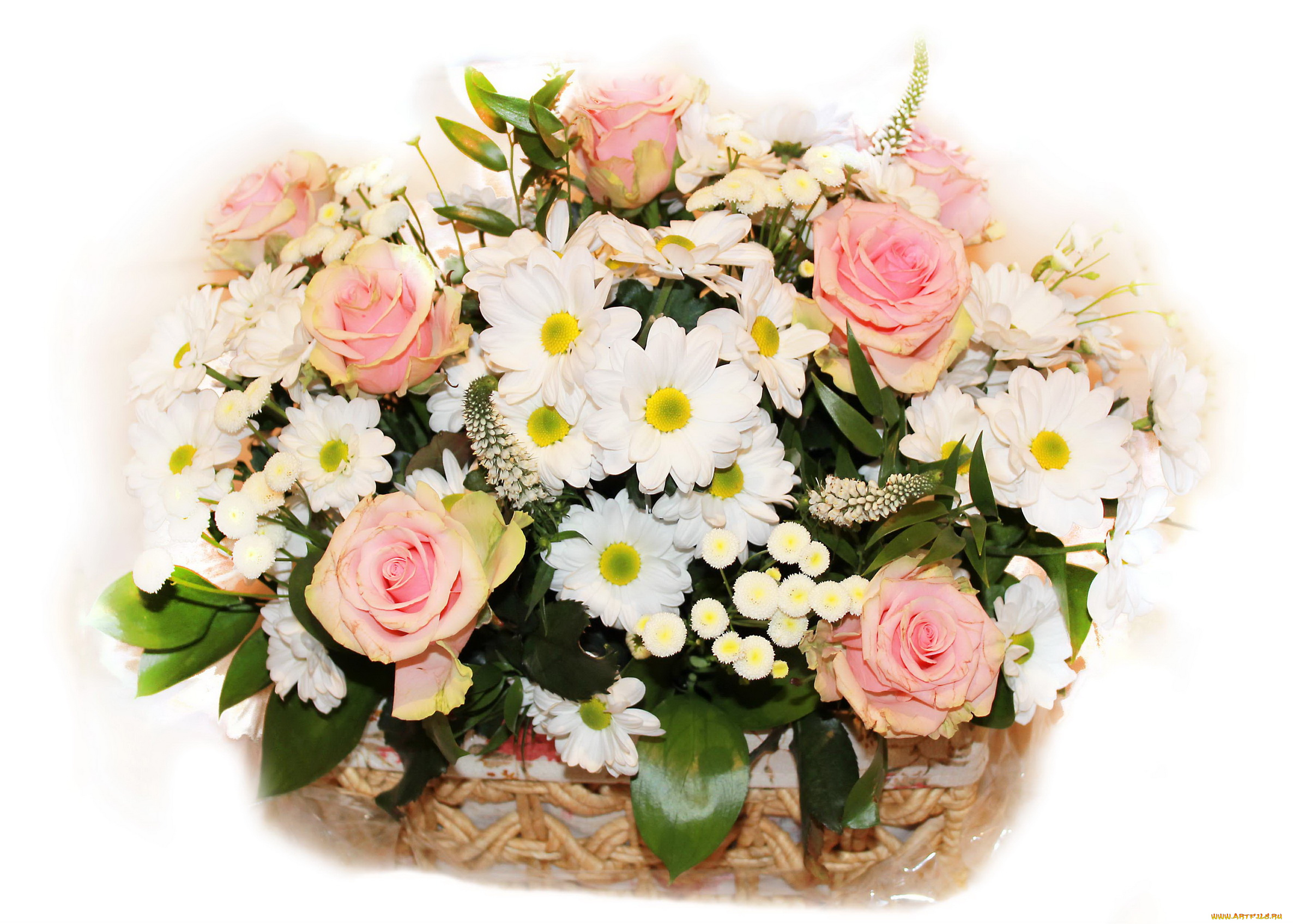 цветы, букеты, композиции, букет, розы