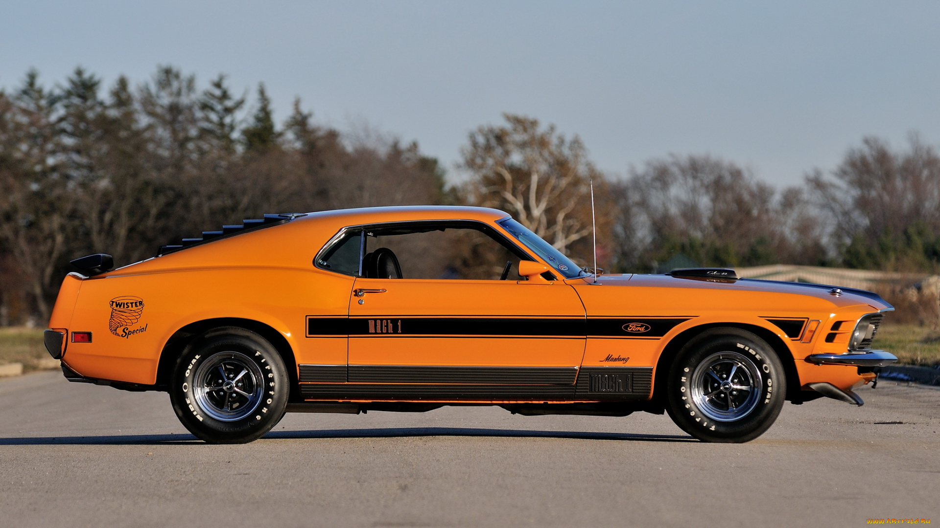 автомобили, mustang, mach, 1-428, super, cobra, jet, twister, special