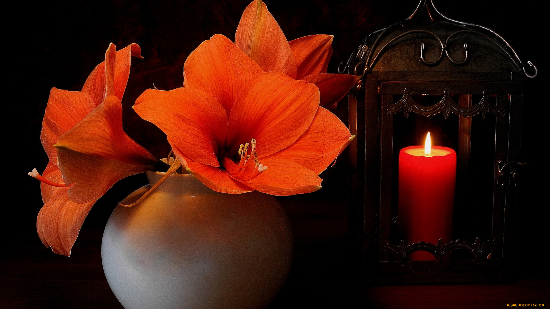 цветы, амариллисы, , гиппеаструмы, свеча, ваза