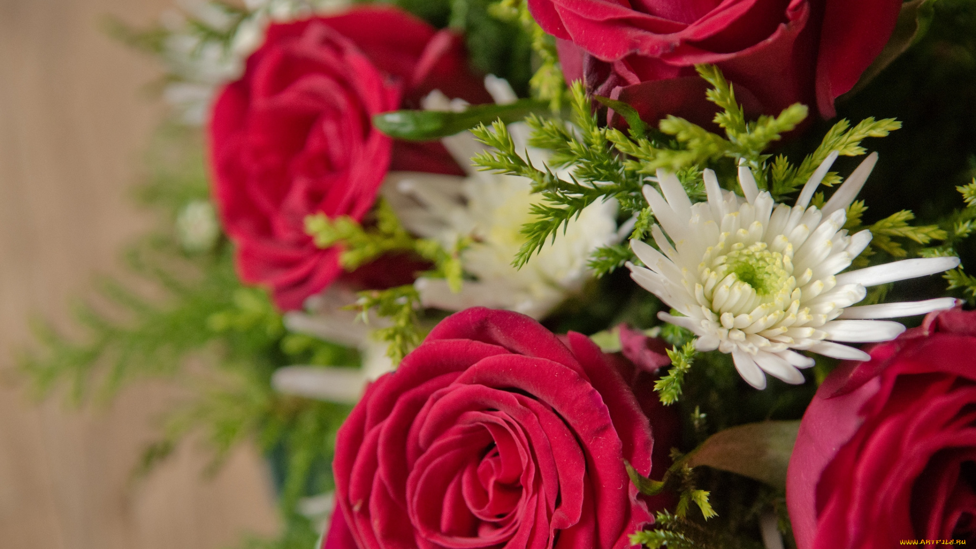 цветы, букеты, , композиции, хризантемы, розы