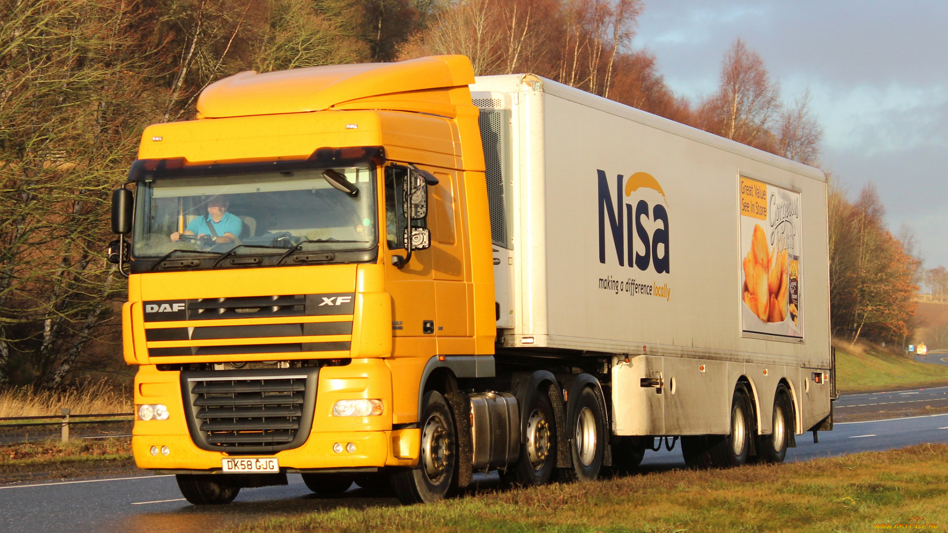 daf, xf, автомобили, daf, нидерланды, шасси, автобусы, седельные, тягачи, trucks, nv