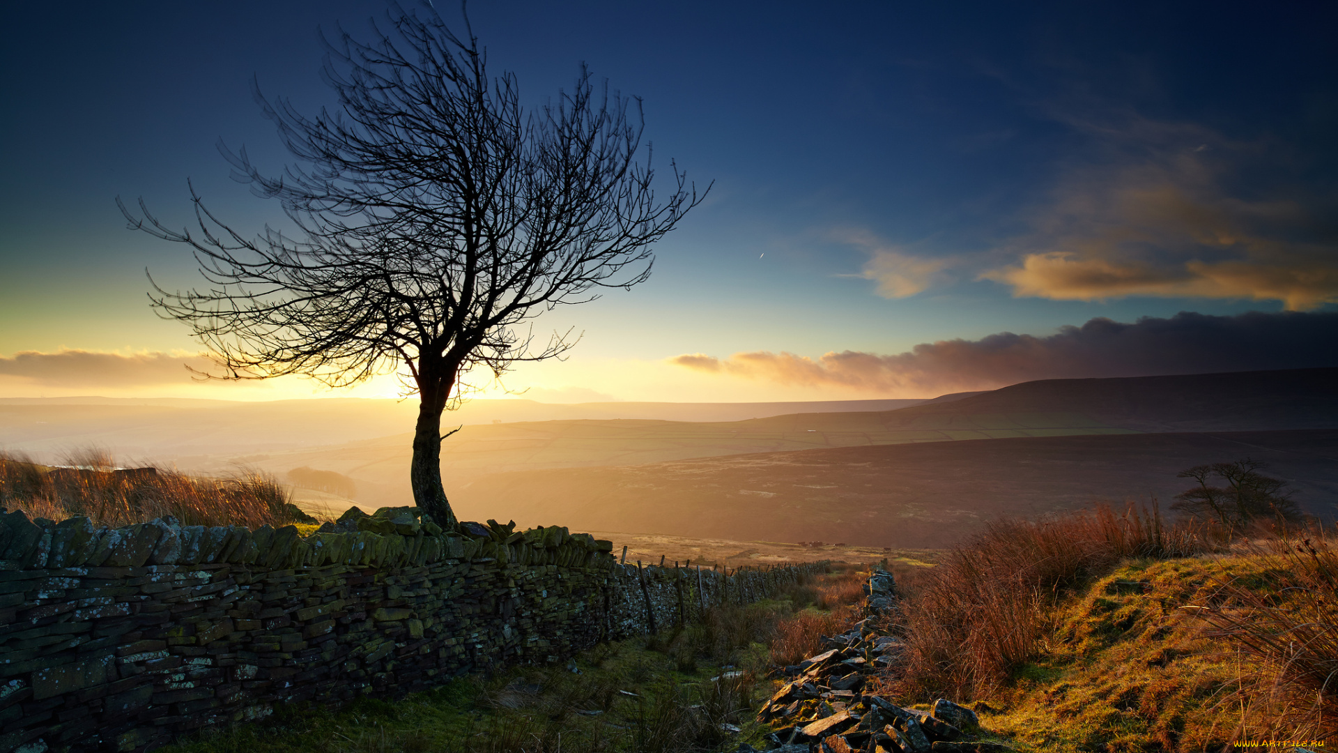 природа, деревья, дорога, забор, дерево, долина, туман