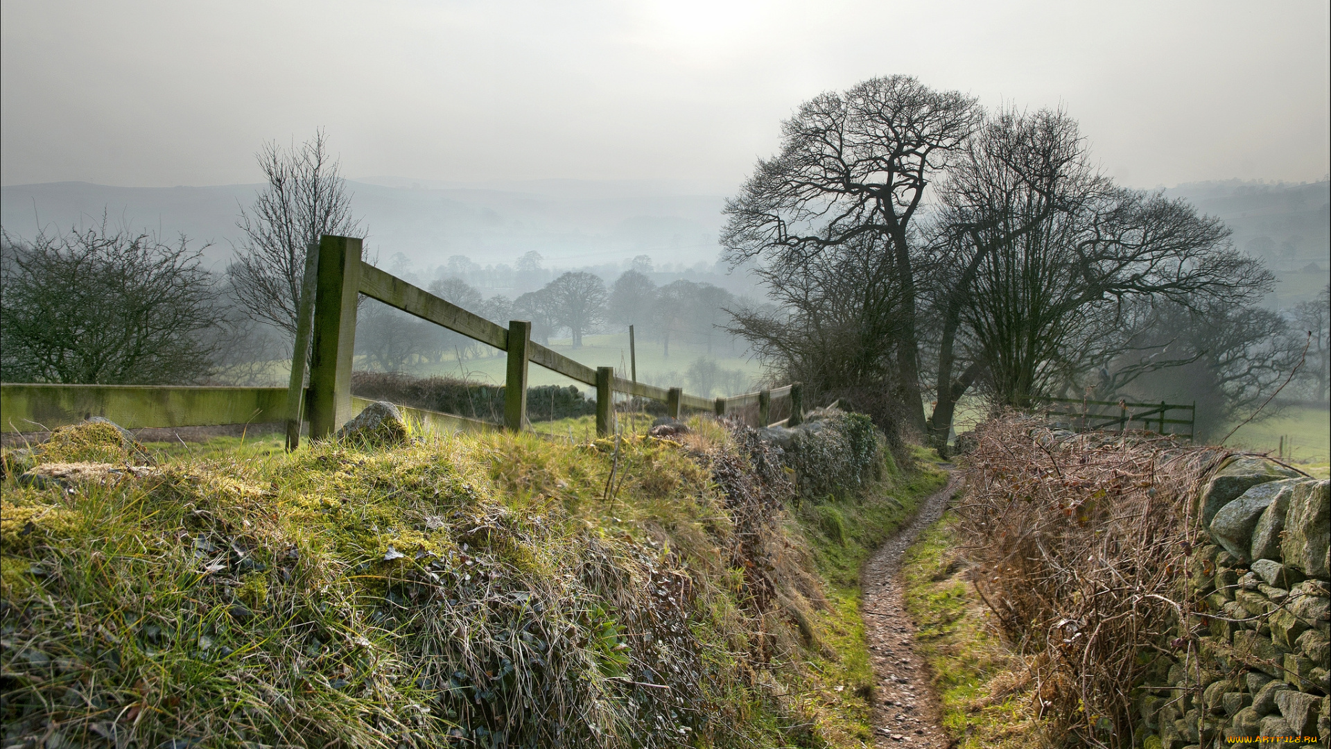 природа, дороги, поле, деревья, трава, тропинка, канава
