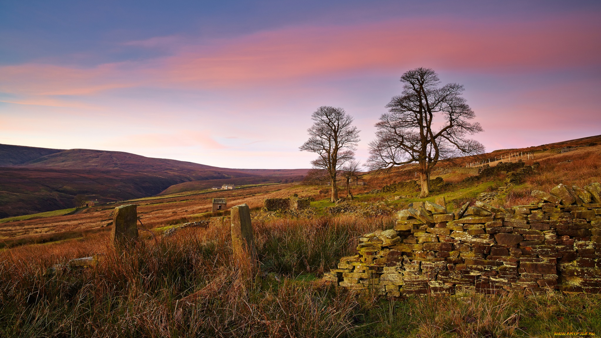 природа, пейзажи, деревья, трава, забор, склон