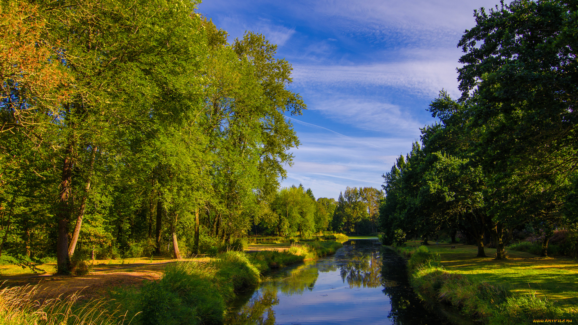 природа, реки, озера, река, лето, трава, деревья