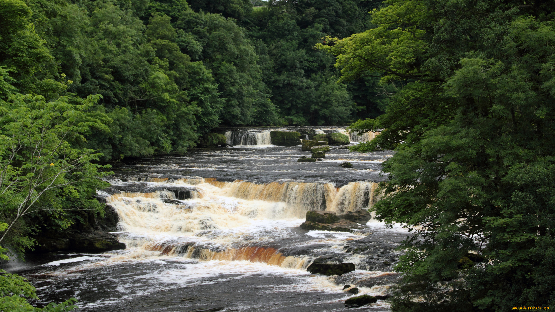 природа, водопады, водопад, англия, yorkshire, aysgarth, falls, река, лес
