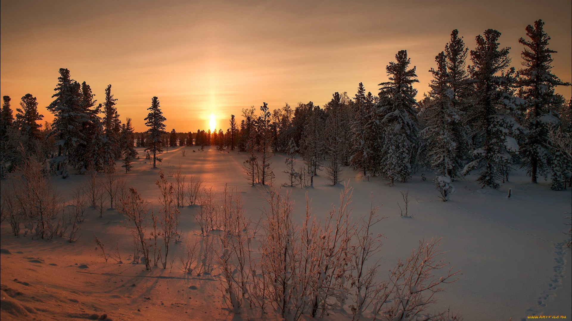 природа, восходы, закаты, закат, зима, снег, деревья
