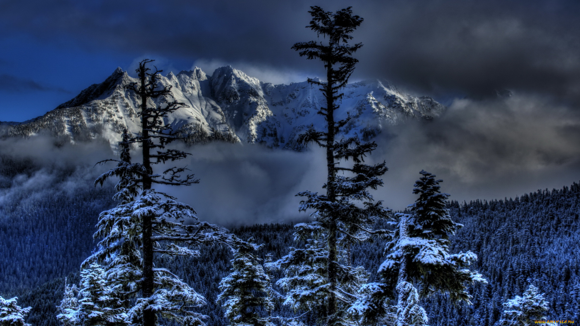 природа, зима, снег, лес, горы, сша