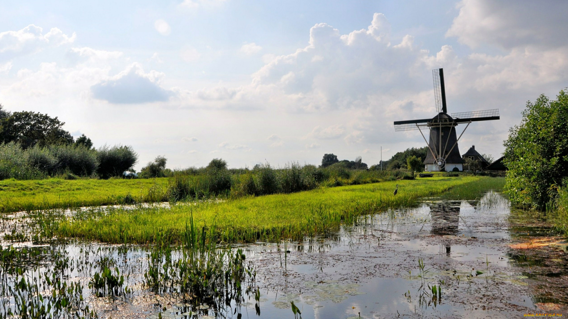 разное, мельницы, река, заросли, мельница, ветряк