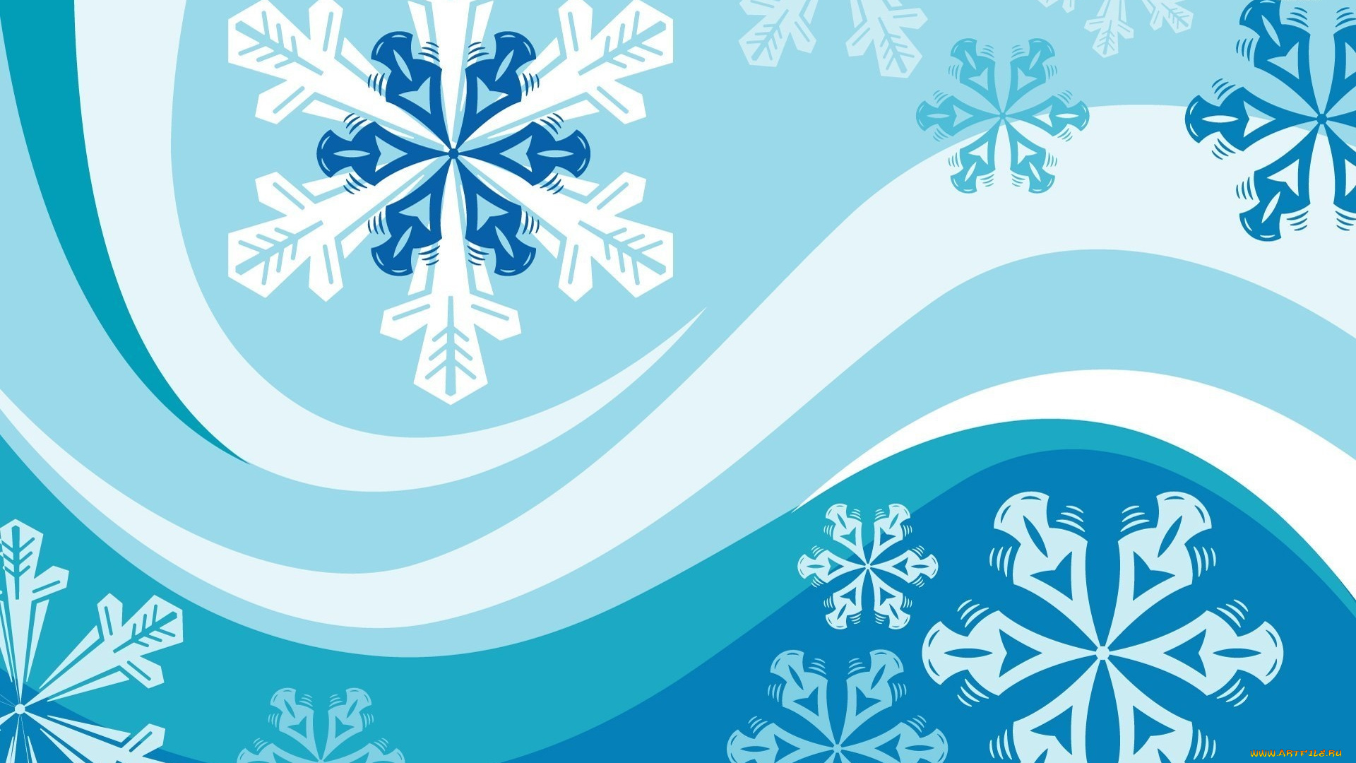 векторная, графика, снежинки