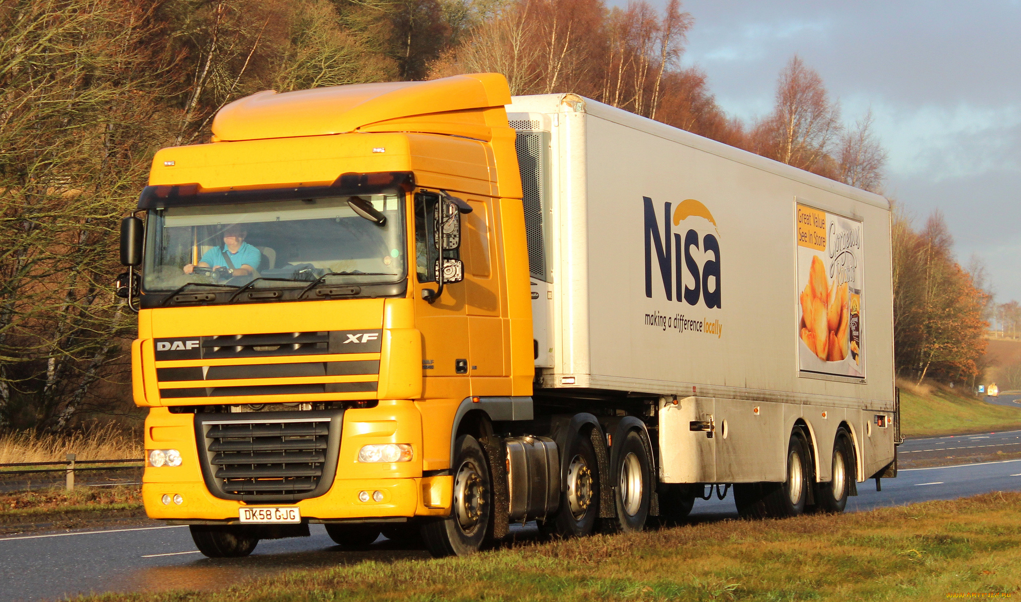 daf, xf, автомобили, daf, нидерланды, шасси, автобусы, седельные, тягачи, trucks, nv