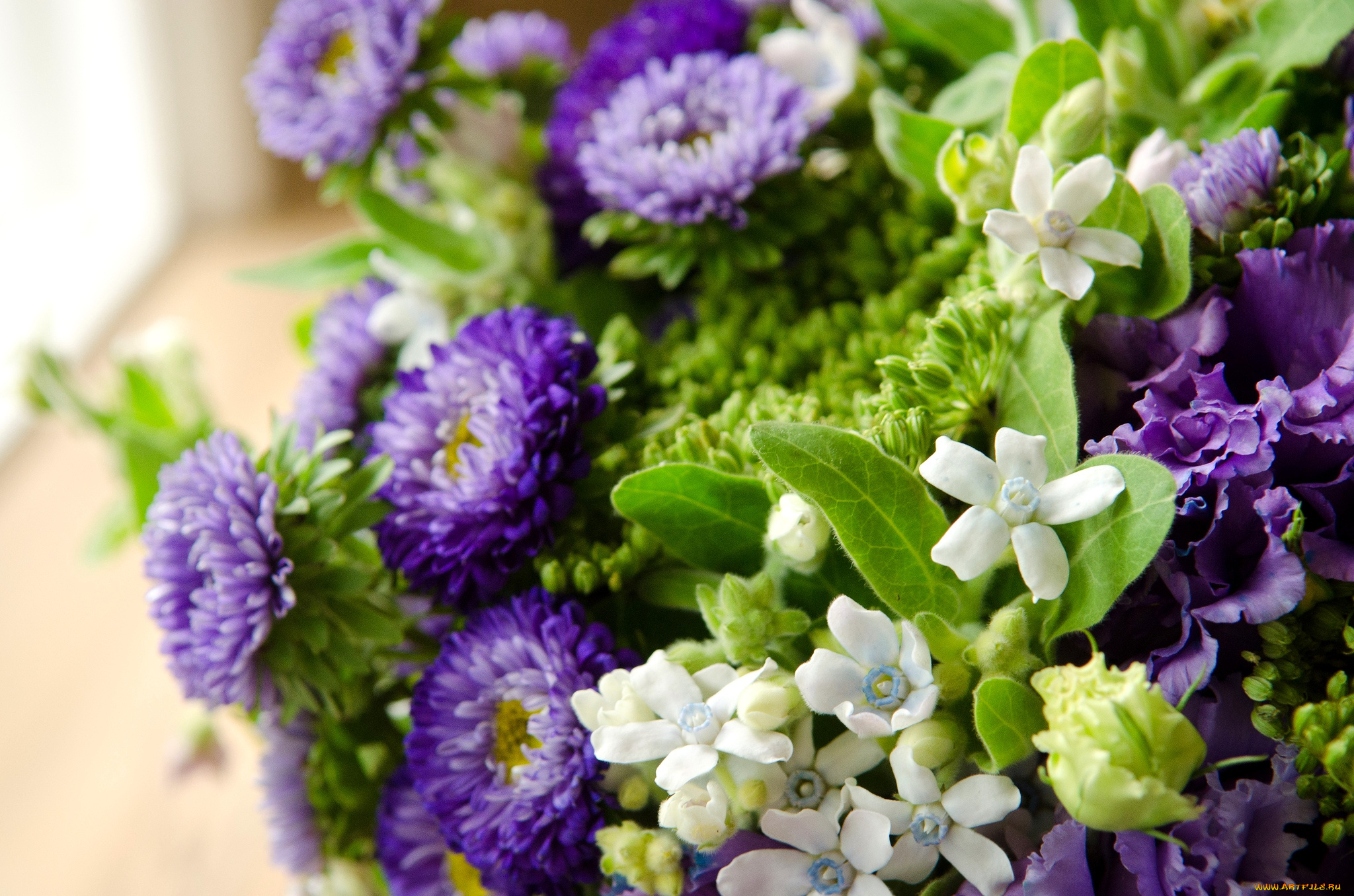 цветы, разные, вместе, астры