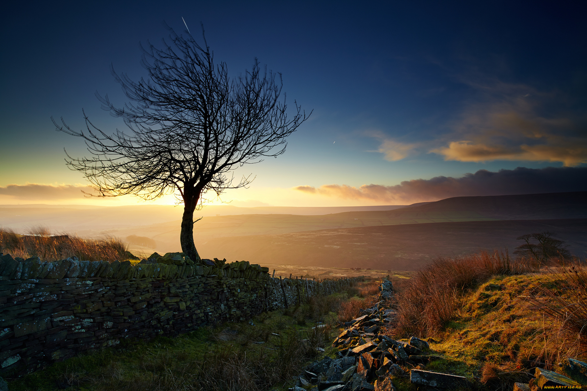 природа, деревья, дорога, забор, дерево, долина, туман