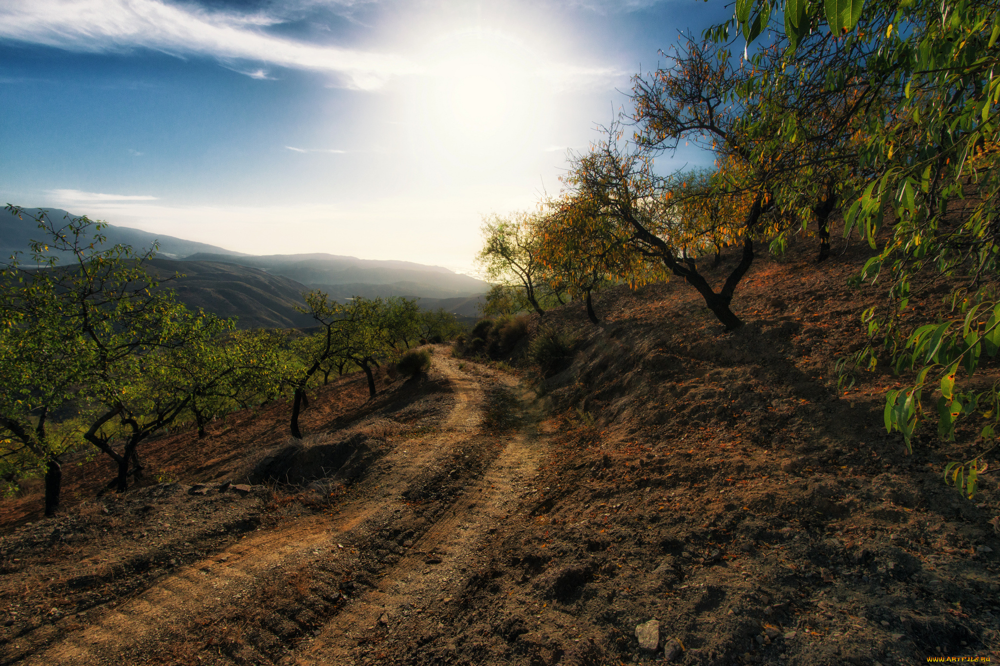 природа, дороги, дорога, склон, сад, горы