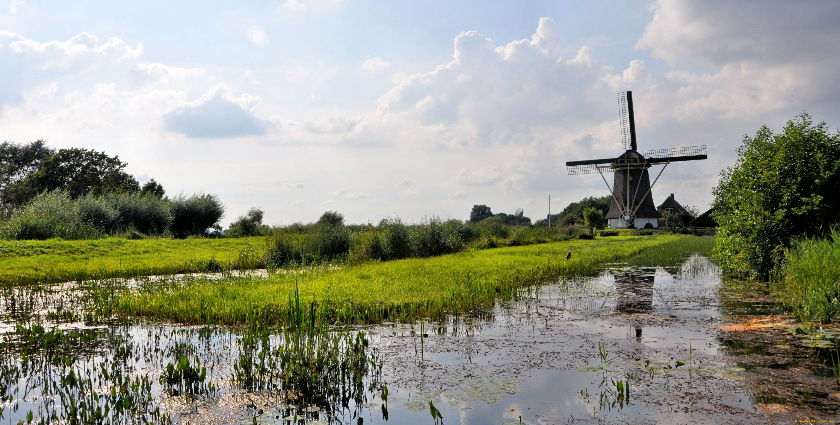 разное, мельницы, река, заросли, мельница, ветряк