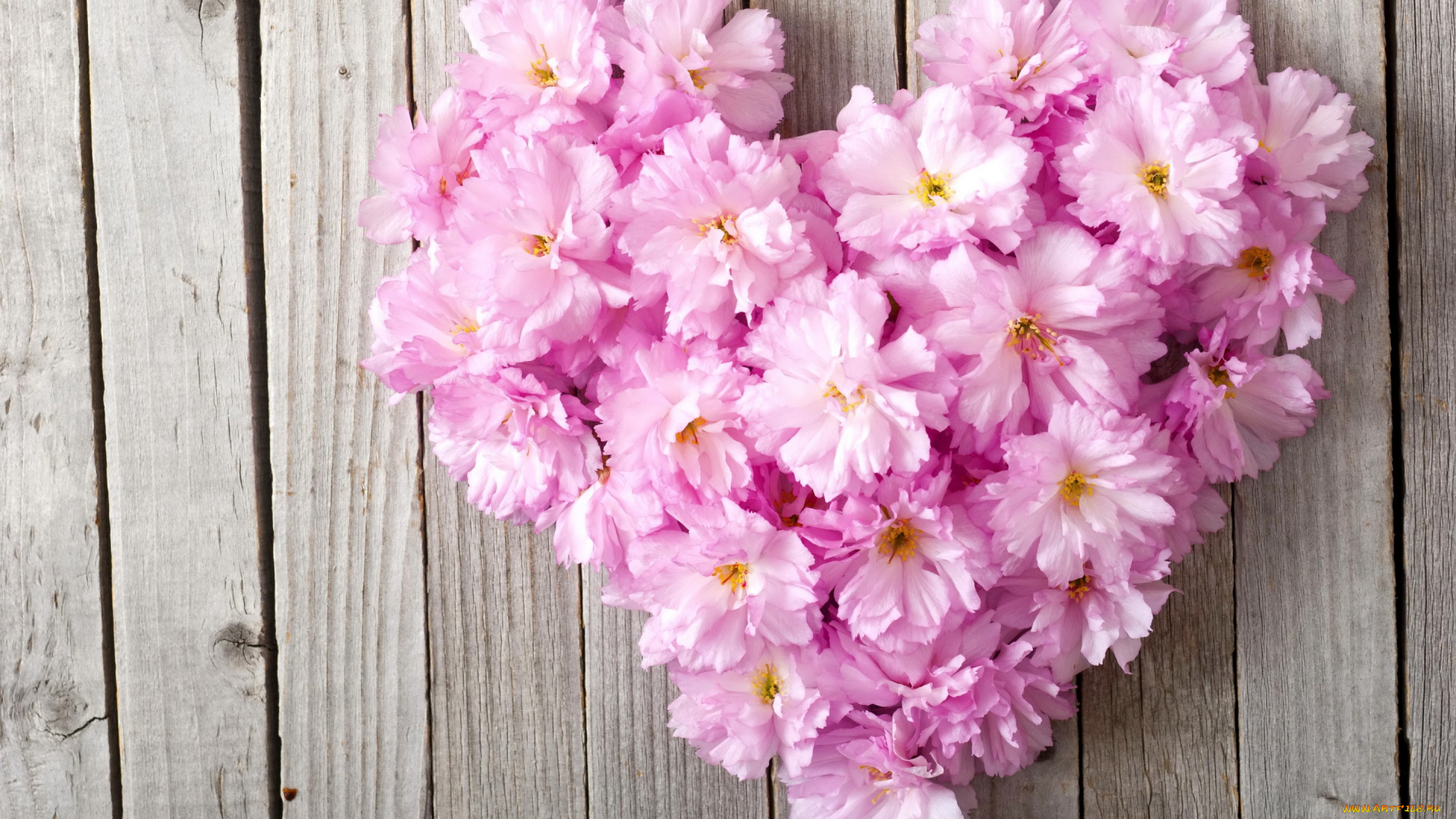 цветы, букеты, , композиции, сердце, love, pink, heart, floral