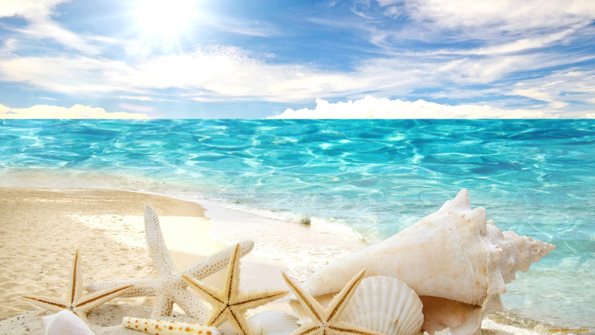 разное, ракушки, , кораллы, , декоративные, и, spa-камни, summer, sand, sunshine, sea, beach, пляж, звезды, песок, солнце, море, starfishes, seashells