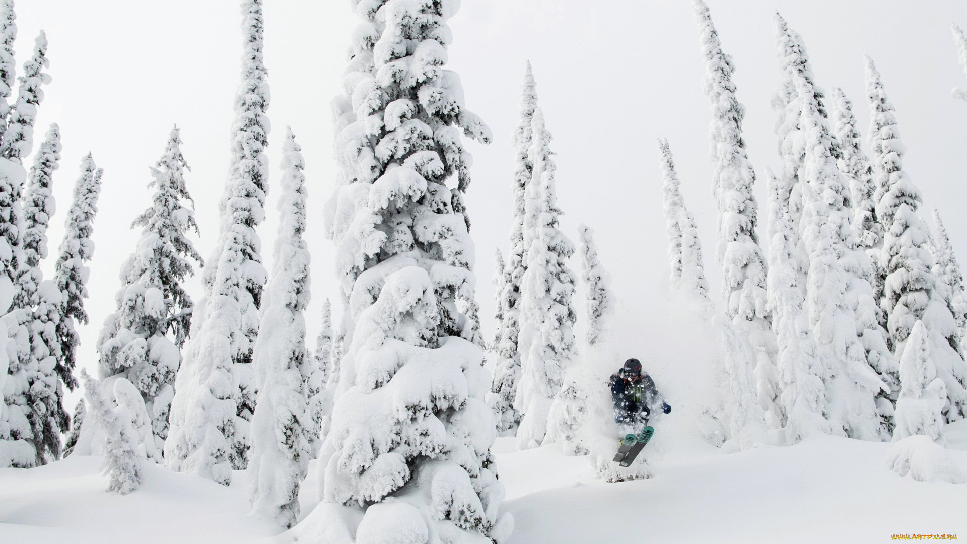 спорт, лыжный, спорт, горнолыжный, деревья, снег